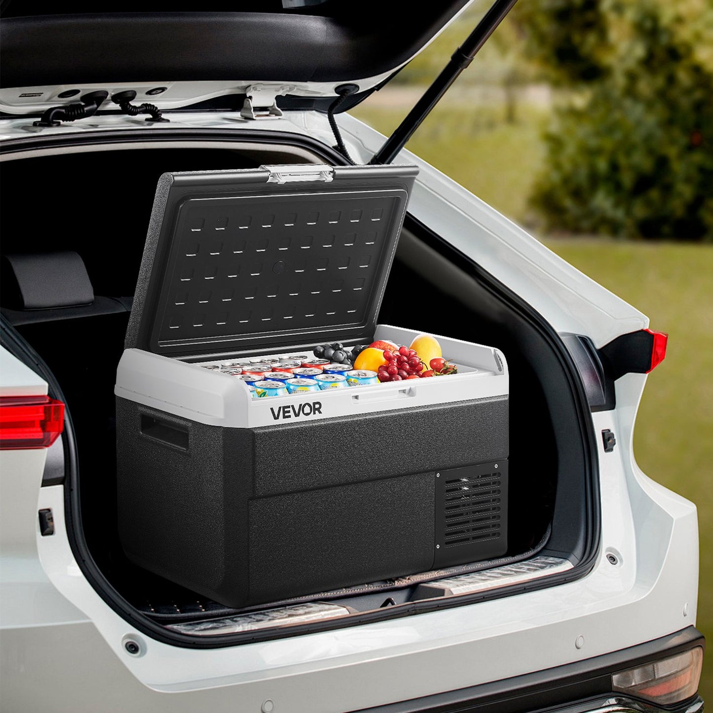 The Nomad Foundation 12V Portable Cooler & Freezer Suite